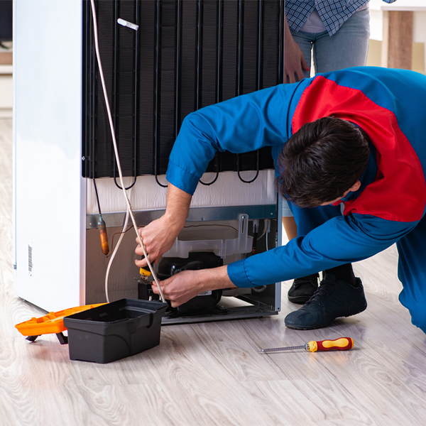 what are the common refrigerator repair services in Nixon Nevada